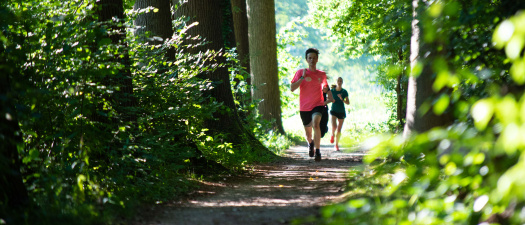 Hardlooptrainingen