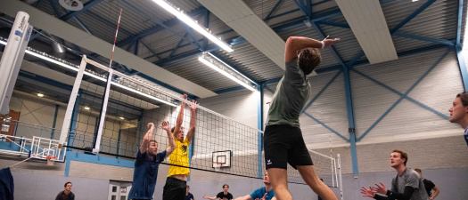 Volleybal